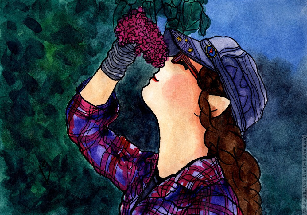 Железнодорожная симфония. §61: Wolfie (Rose clair)