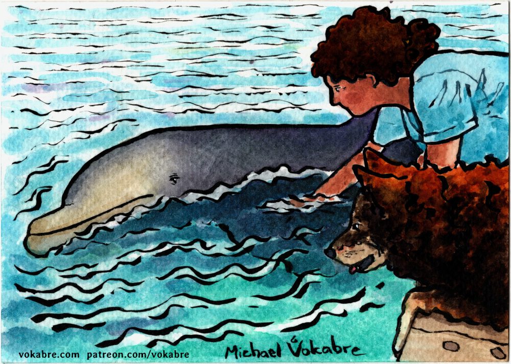 Postcard: Eilat, Dolphin Reef