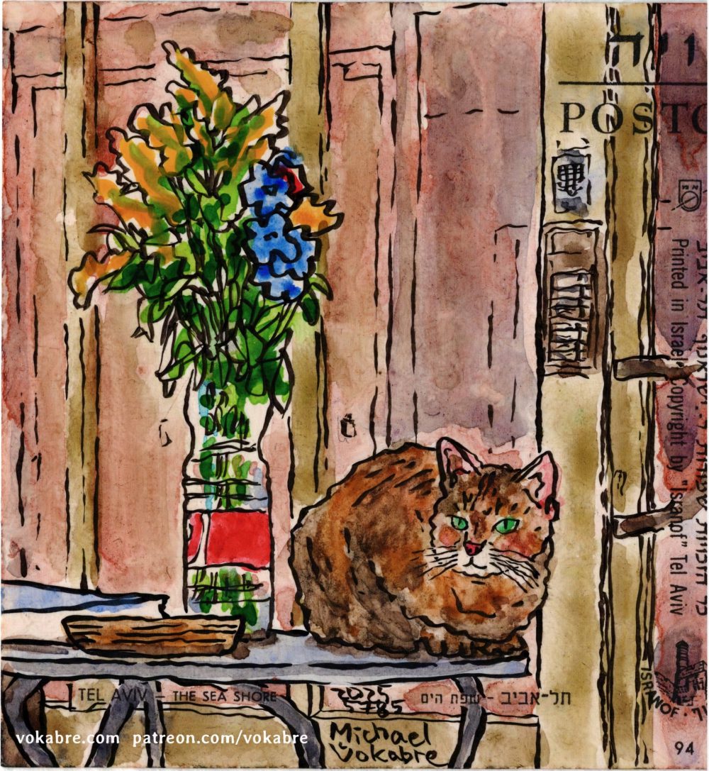 Postcard: Tel Aviv Jaffa, a cat